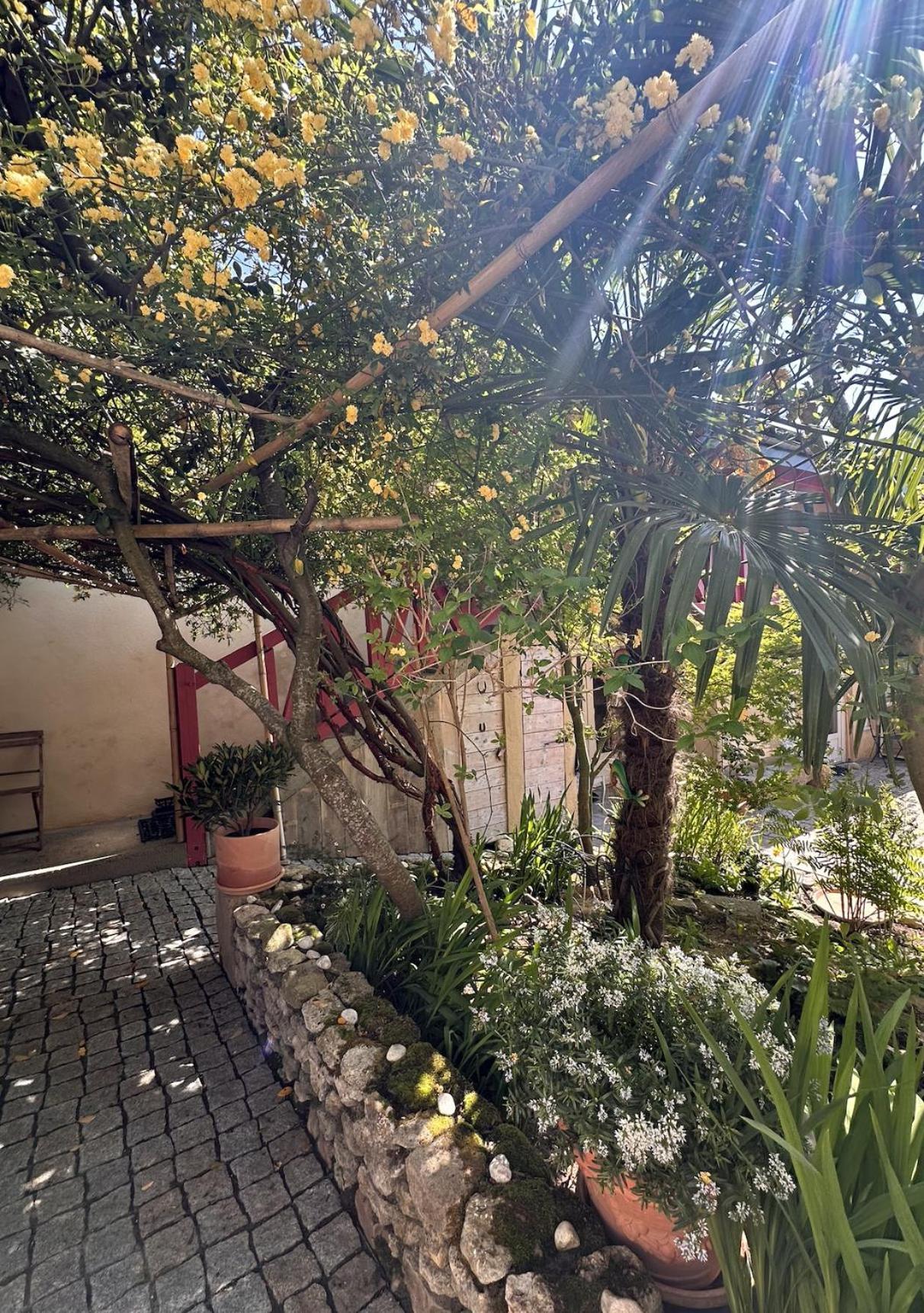 ホテル Le Patio Tursan Pimbo エクステリア 写真